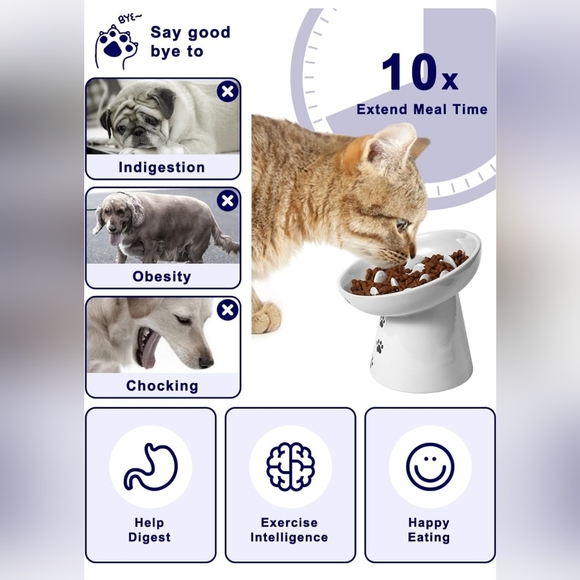 Pet Feeder Ceramic Bowl - Picture 9 of 9